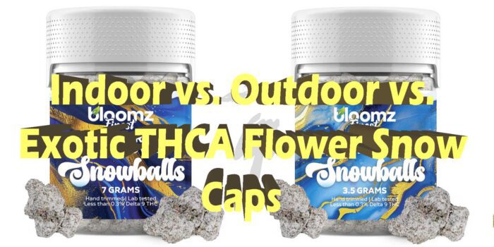 Indoor Vs Outdoor Vs Exotic THCA Flower Snow Caps Bloomz Hemp