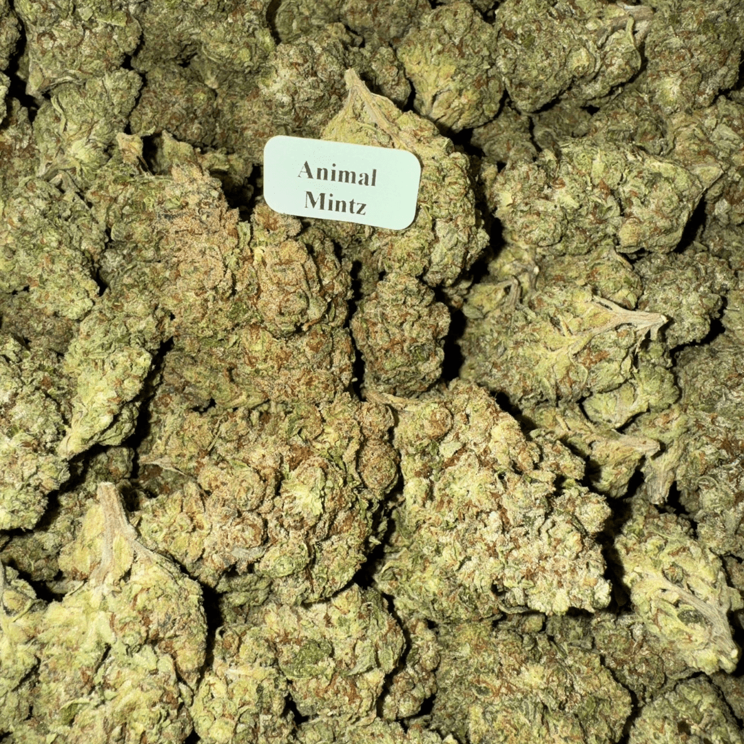THCA Flower – 28g, Flavor: Animal Mintz