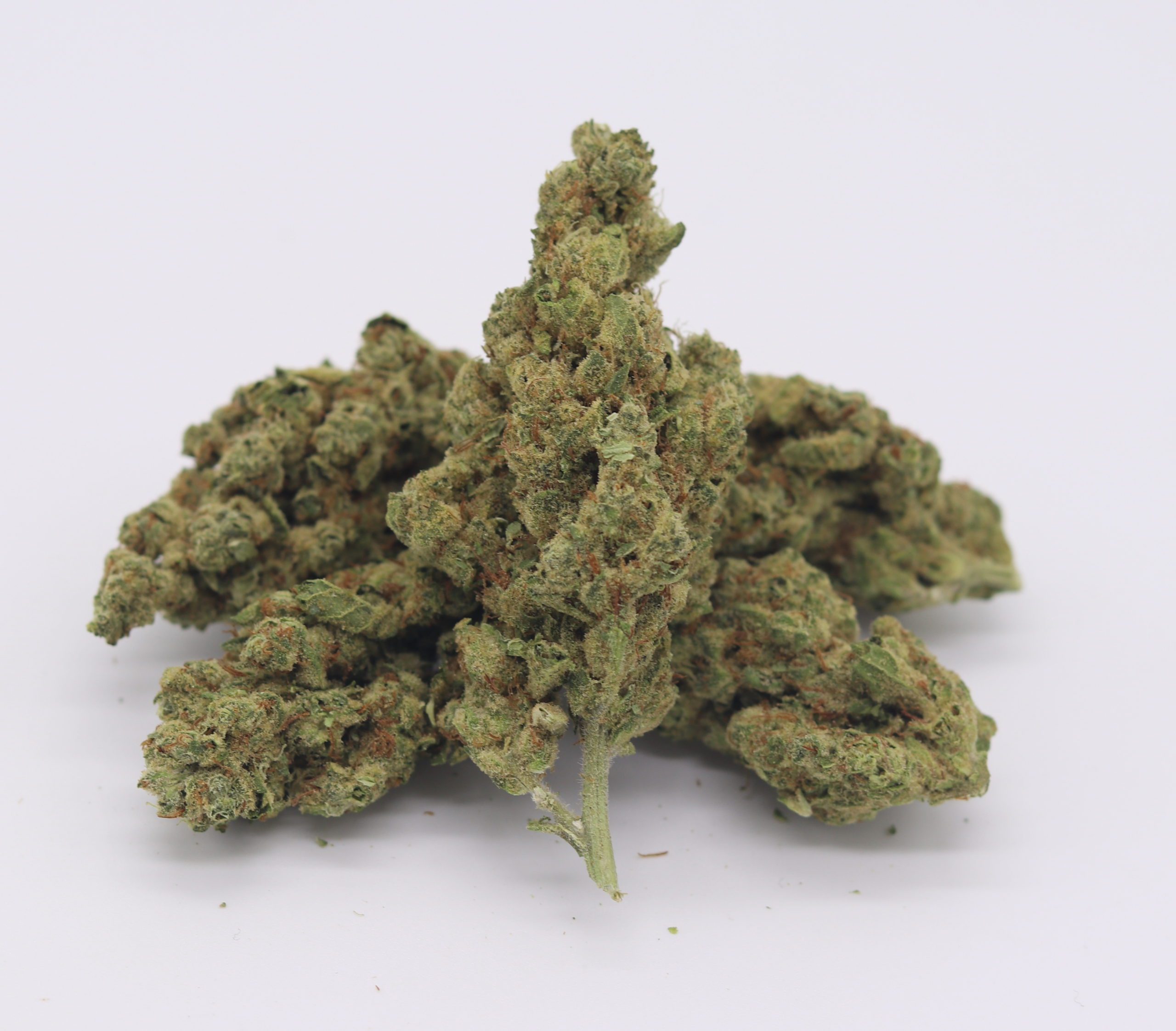 Shop High-THCa Flower - Gorilla Glue Online