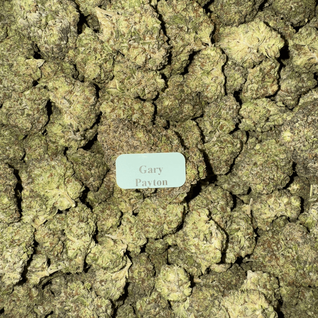 THCA Flower – 28g, Flavor: Gary Payton