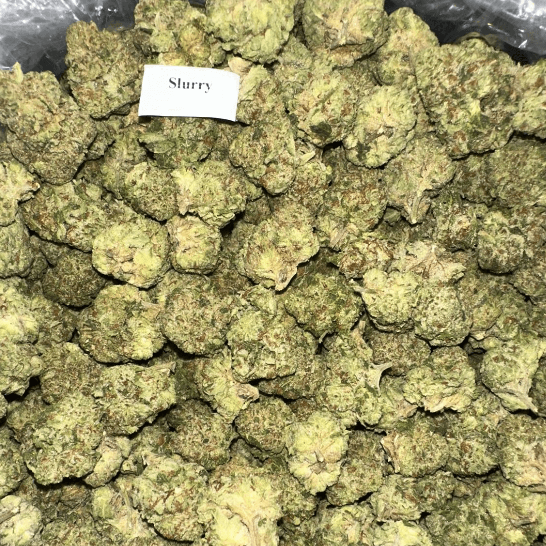 THCA Flower – 28g, Flavor: Slurry