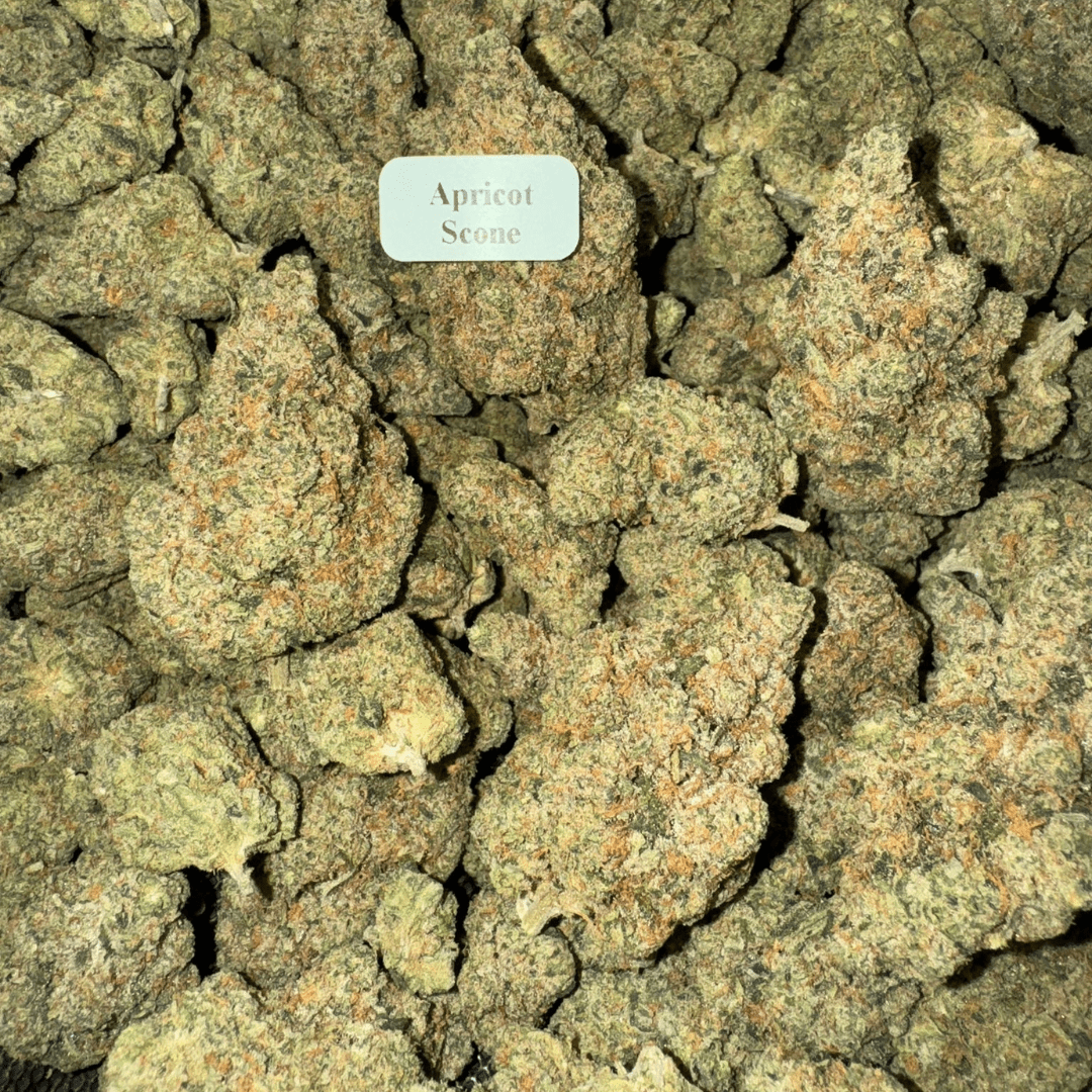 THCA Flower – Exotics – Gold Line – 28g, Flavor: Apricot Scone
