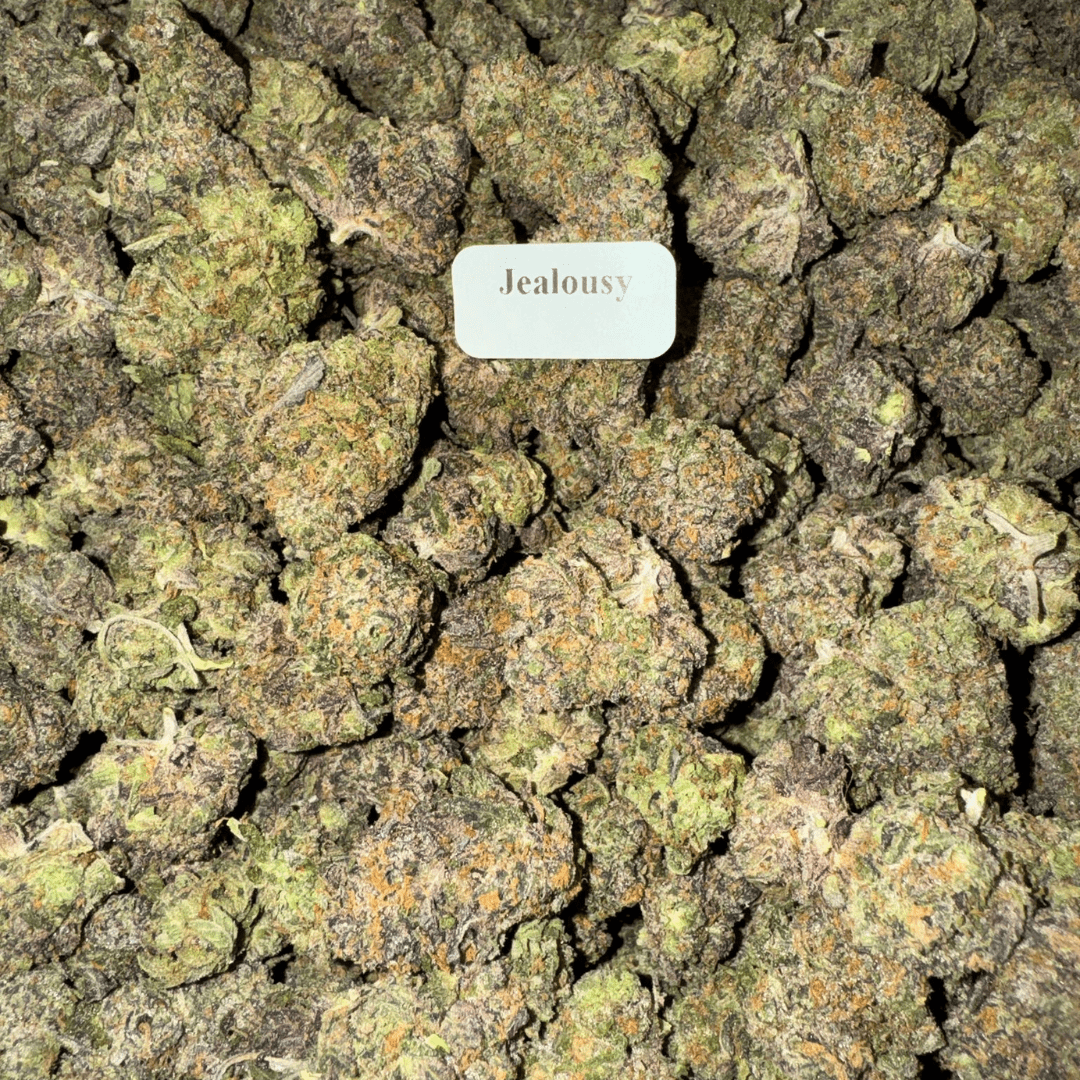 THCA Flower – Exotics – Gold Line – 28g, Flavor: Jealousy Mintz