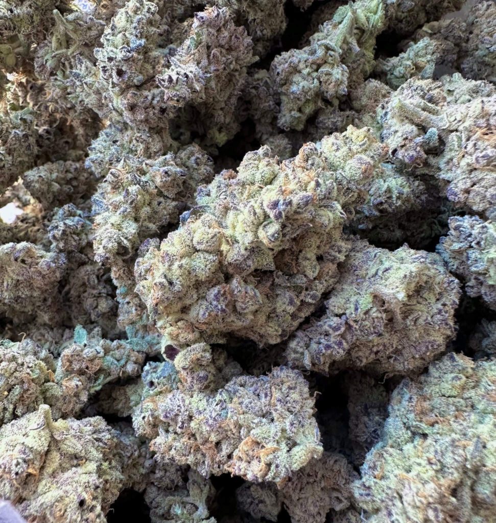 Shop High THCA Flower Buy THCA Hemp Flower For Sale