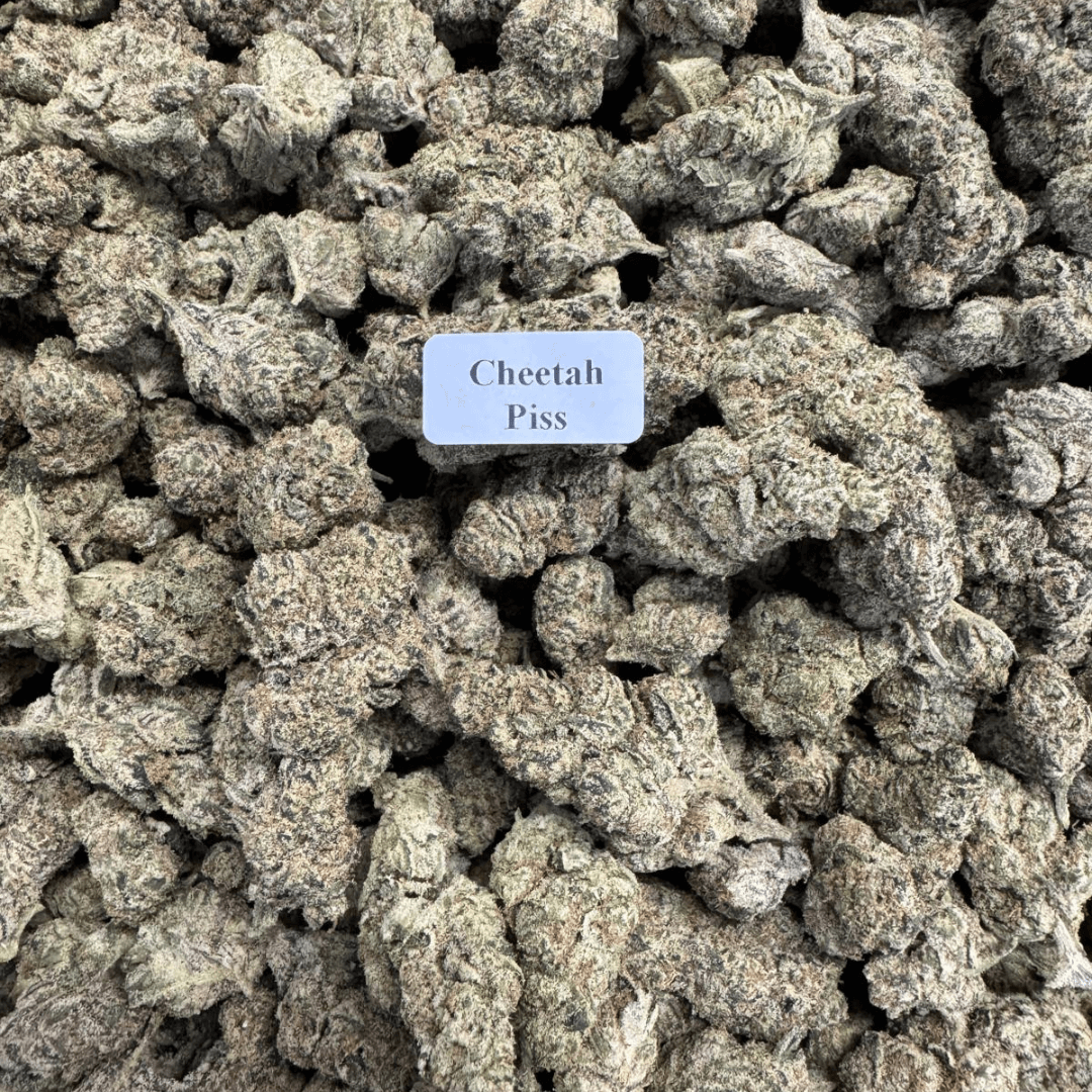 THCA Flower – Exotics – Gold Line – 28g, Flavor: Cheetah Piss