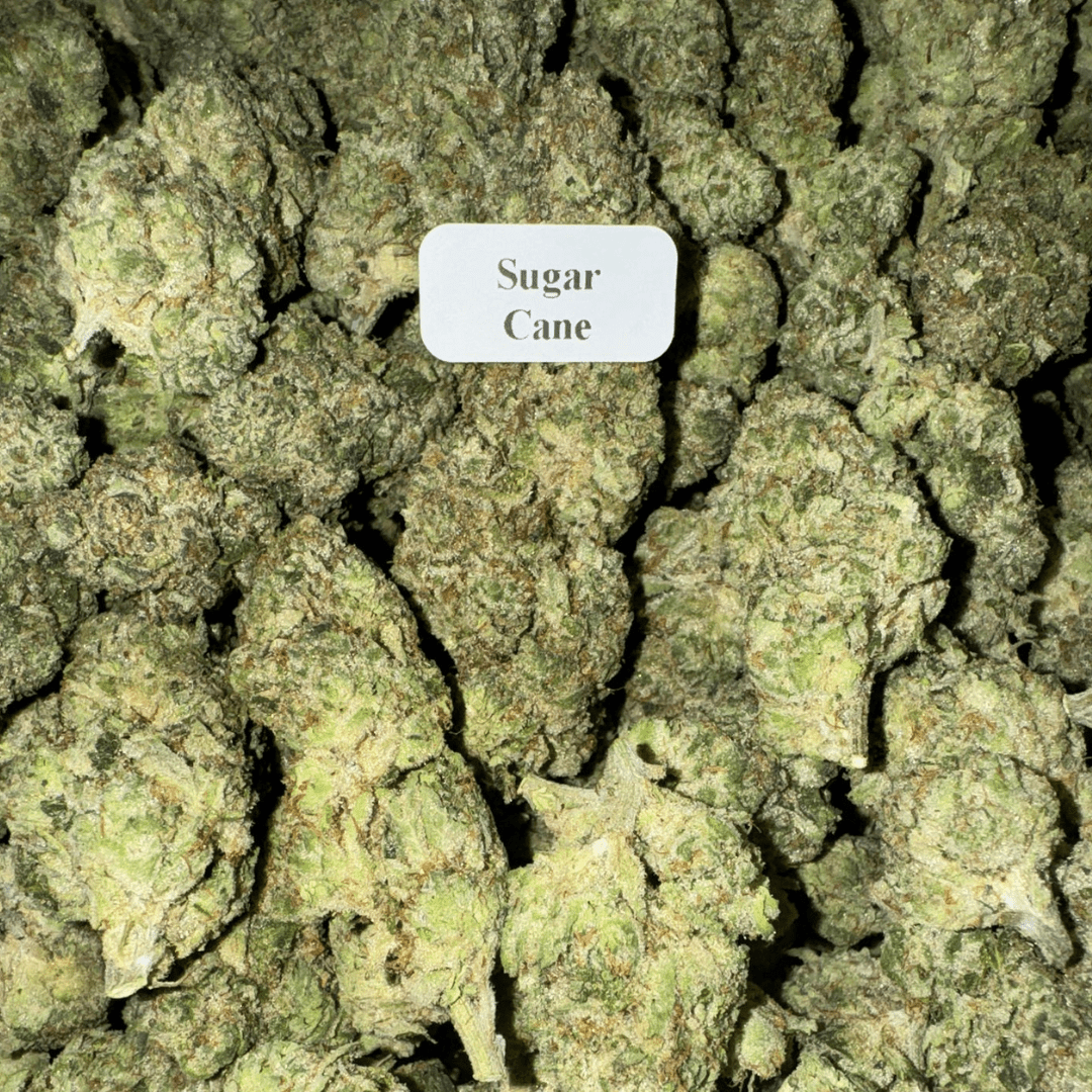 THCA Flower – Exotics – Gold Line – 28g, Flavor: Sugar Cane