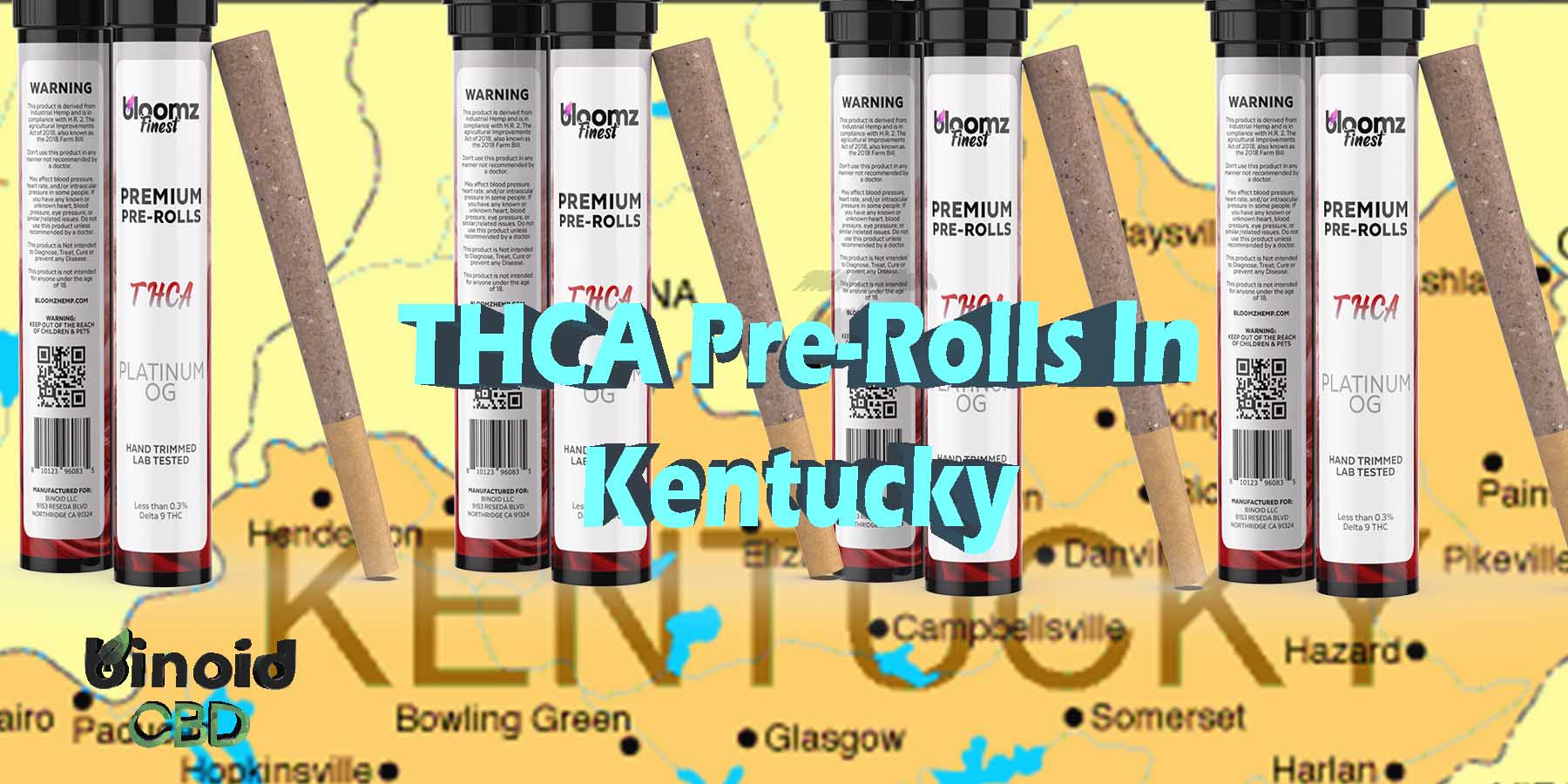THCA Pre Rolls In Kentucky Hemp Flower Indica Where To Get Near Me Best Place Lowest Price Coupon Discount Strongest Brand Bloomz