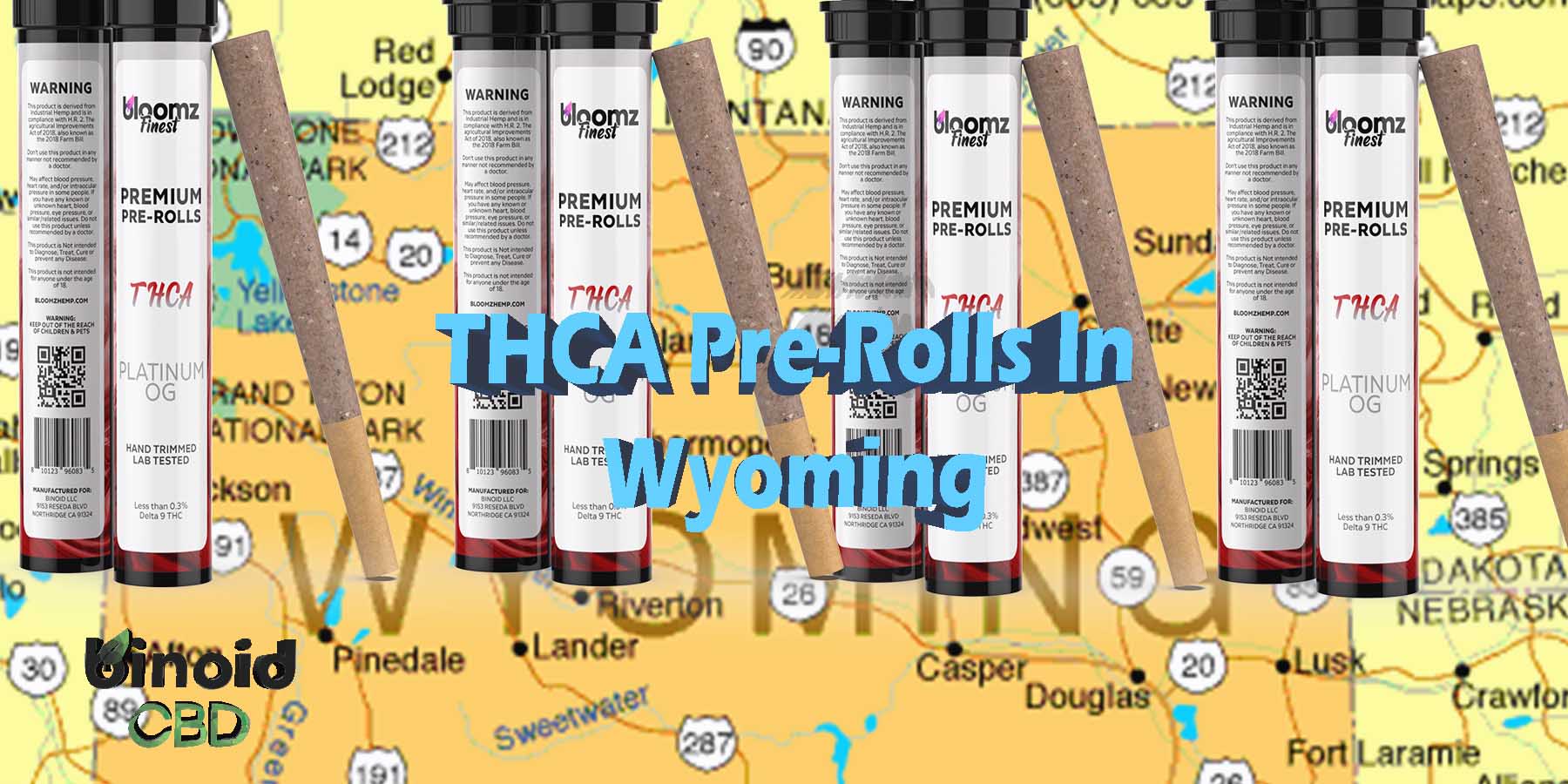 THCA Pre Rolls In Wyoming Indica Where To Get Near Me Best Place Lowest Price Coupon Discount Strongest Brand Bloomz