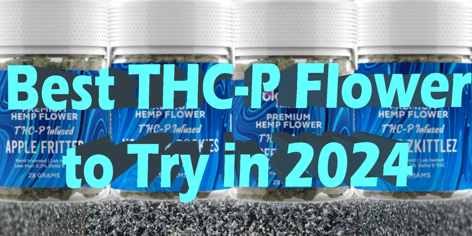 Best THC P Flower Of 2024 Top THC P Flower Brands   Best THC P Flower To Try In 2024 What You Must Know WhereToGet HowToGetNearMe BestPlace LowestPrice Coupon Discount StrongestBrand BestBrand Bloomz 1536x768 