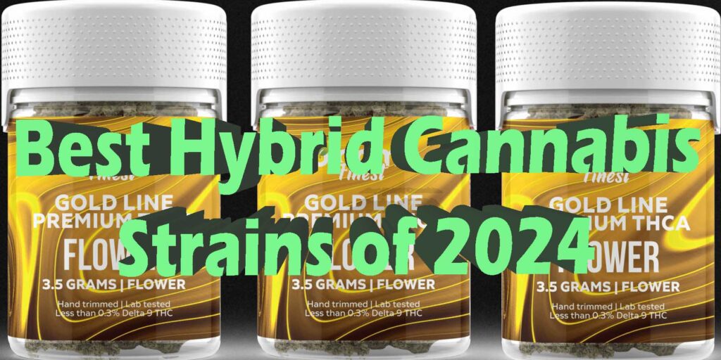 Best Hybrid Cannabis Strains of 2024 Strongest Hybrid Strains