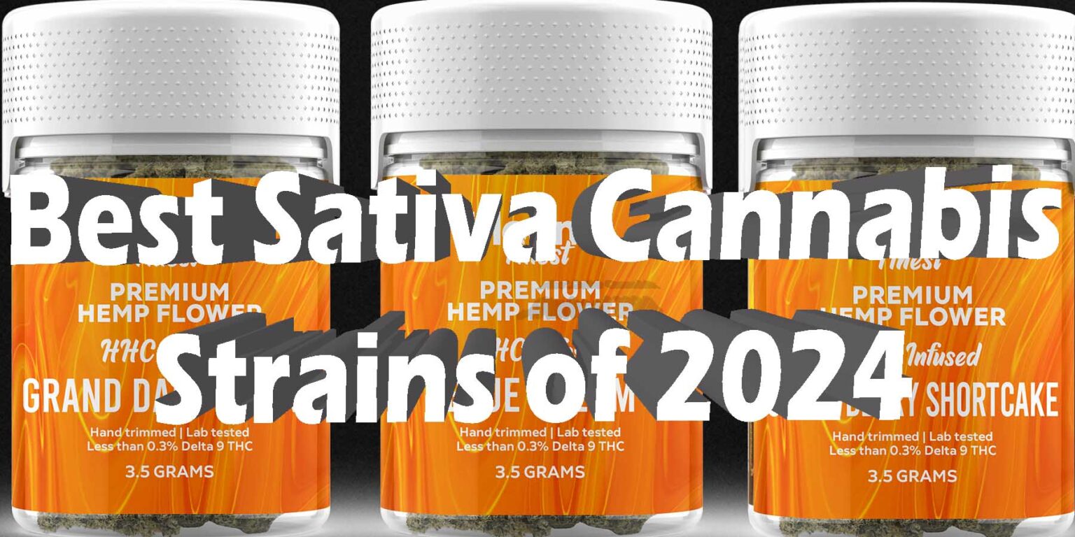 Best Sativa Cannabis Strains Of 2024: Strongest Sativa Strains