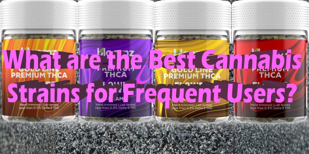 Best Cannabis Strains For Frequent Weed Smokers In 2024