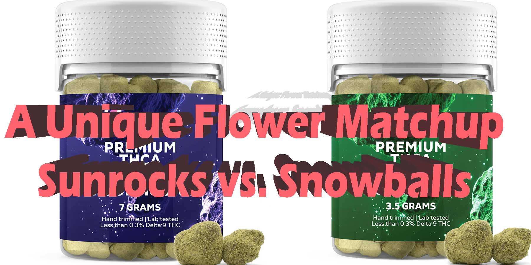 A Unique Flower Matchup Sunrocks vs Snowballs LowestPrice Coupon Discount For Smoking Best High Smoke Shop Online Near Me Bloomz