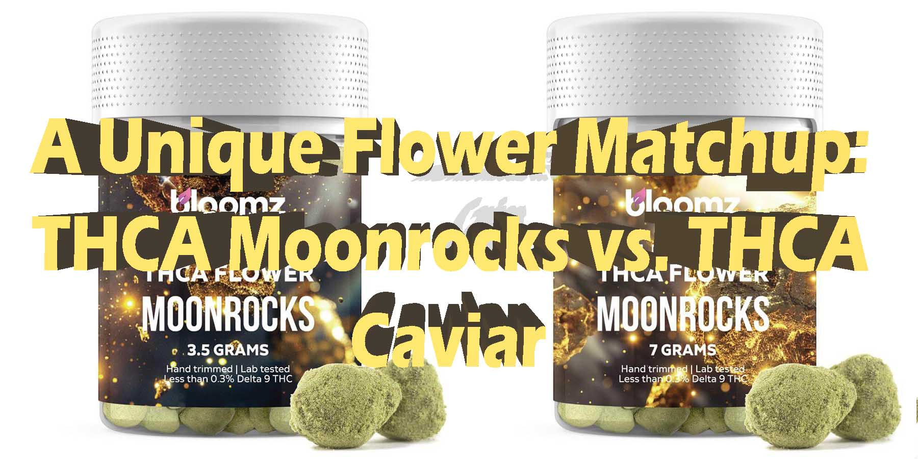 A Unique Flower Matchup THCA Moonrocks vs Caviar Coupon Discount For Smoking Best High Smoke THCA THC Cannabinoids Shop Online Near Me Bloomz