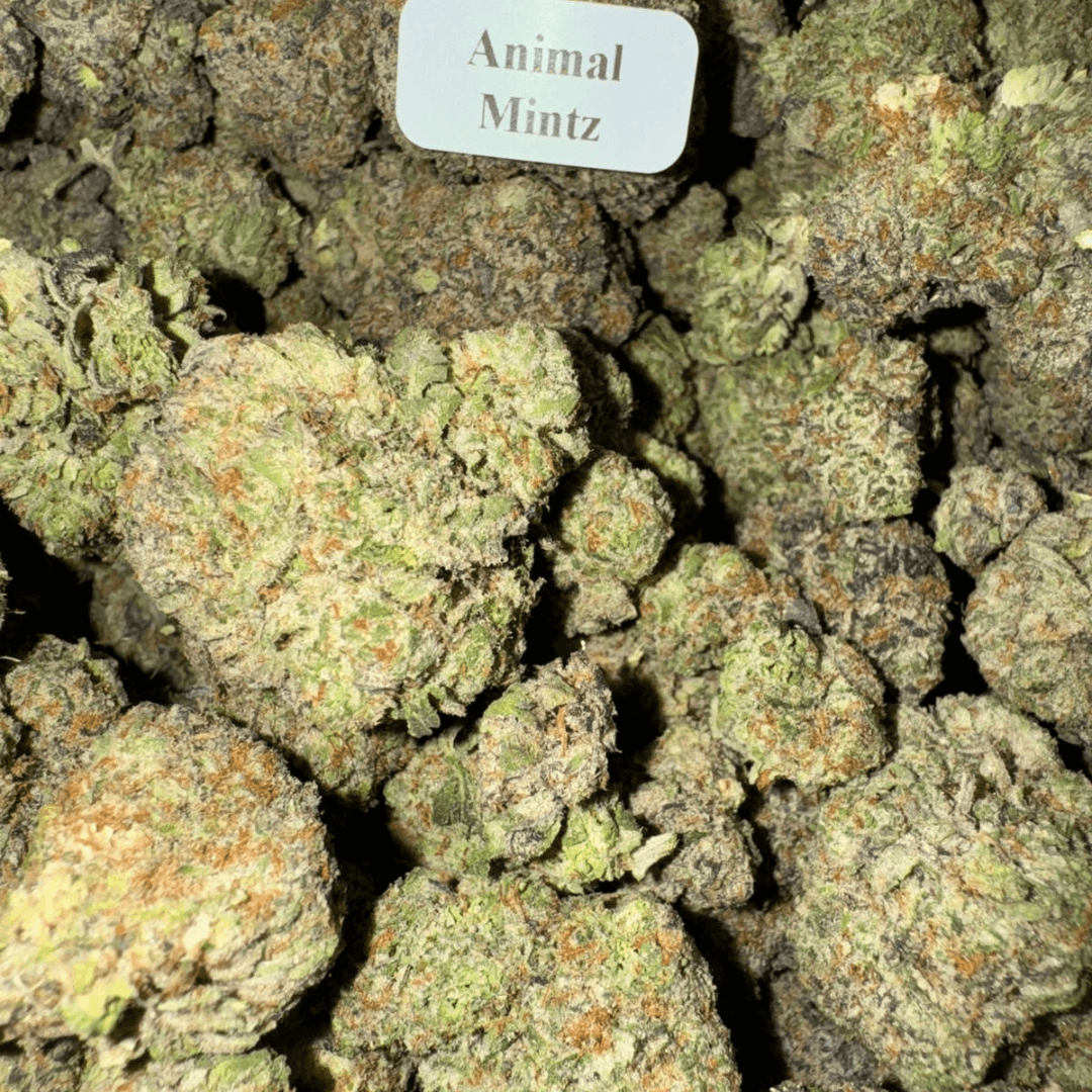 Blazed Exotic THCA Flower – 7g, Flavor: Animal Mintz