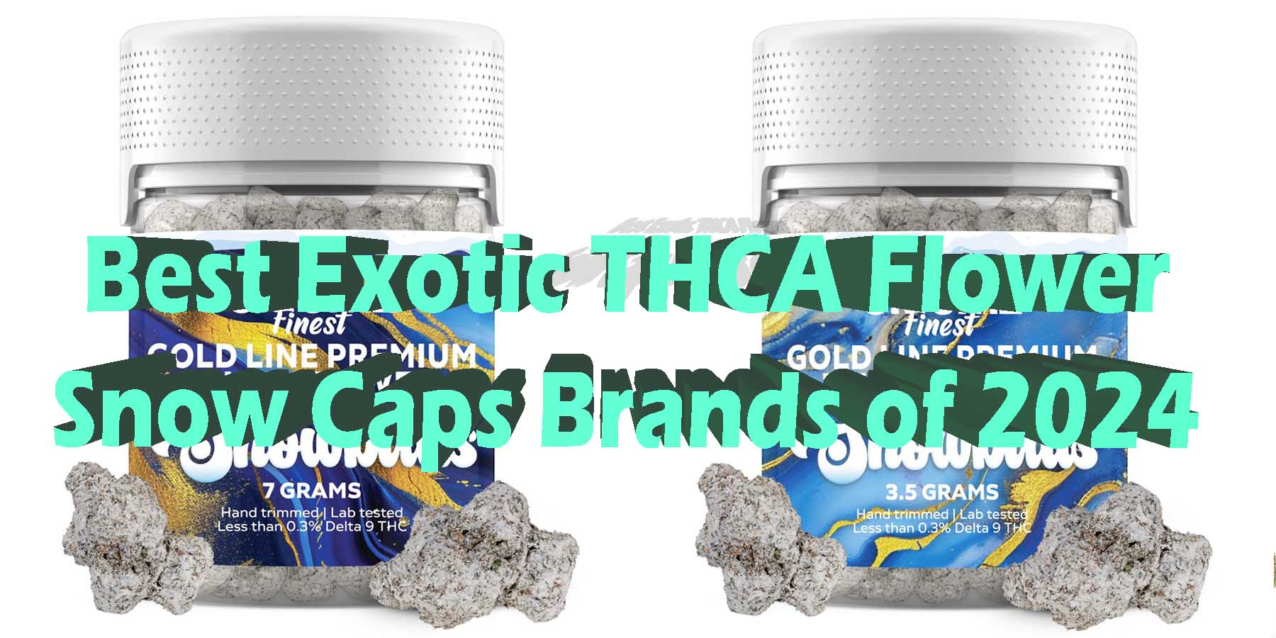 Best Exotic THCA Flower Snow Caps Brands of 2024 Coupon Discount For Smoking Best High Smoke THCA THC Cannabinoids Shop Online Bloomz