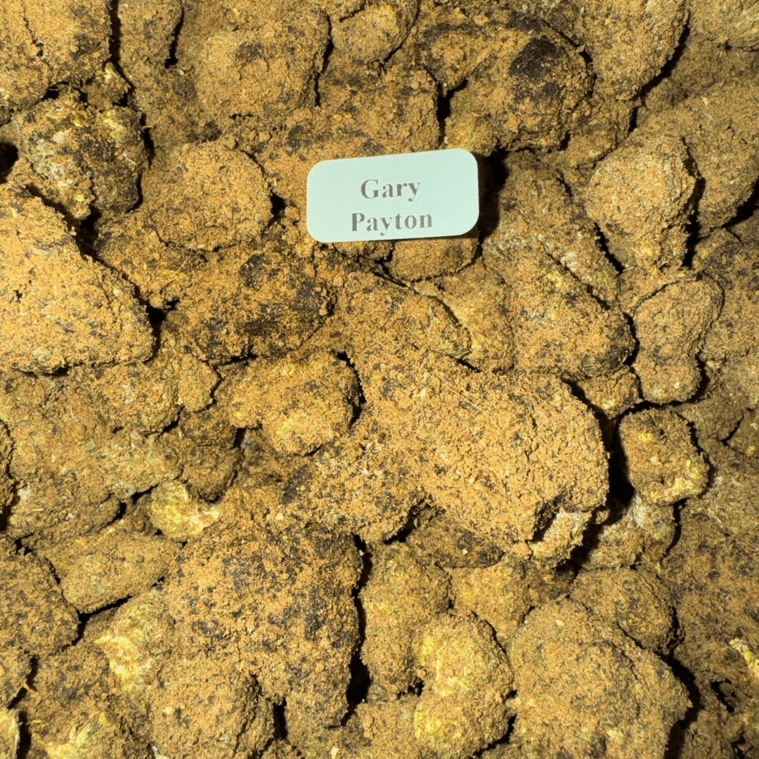 THCA Moonrocks – Gold Line – 7g, Flavor: Gary Peyton