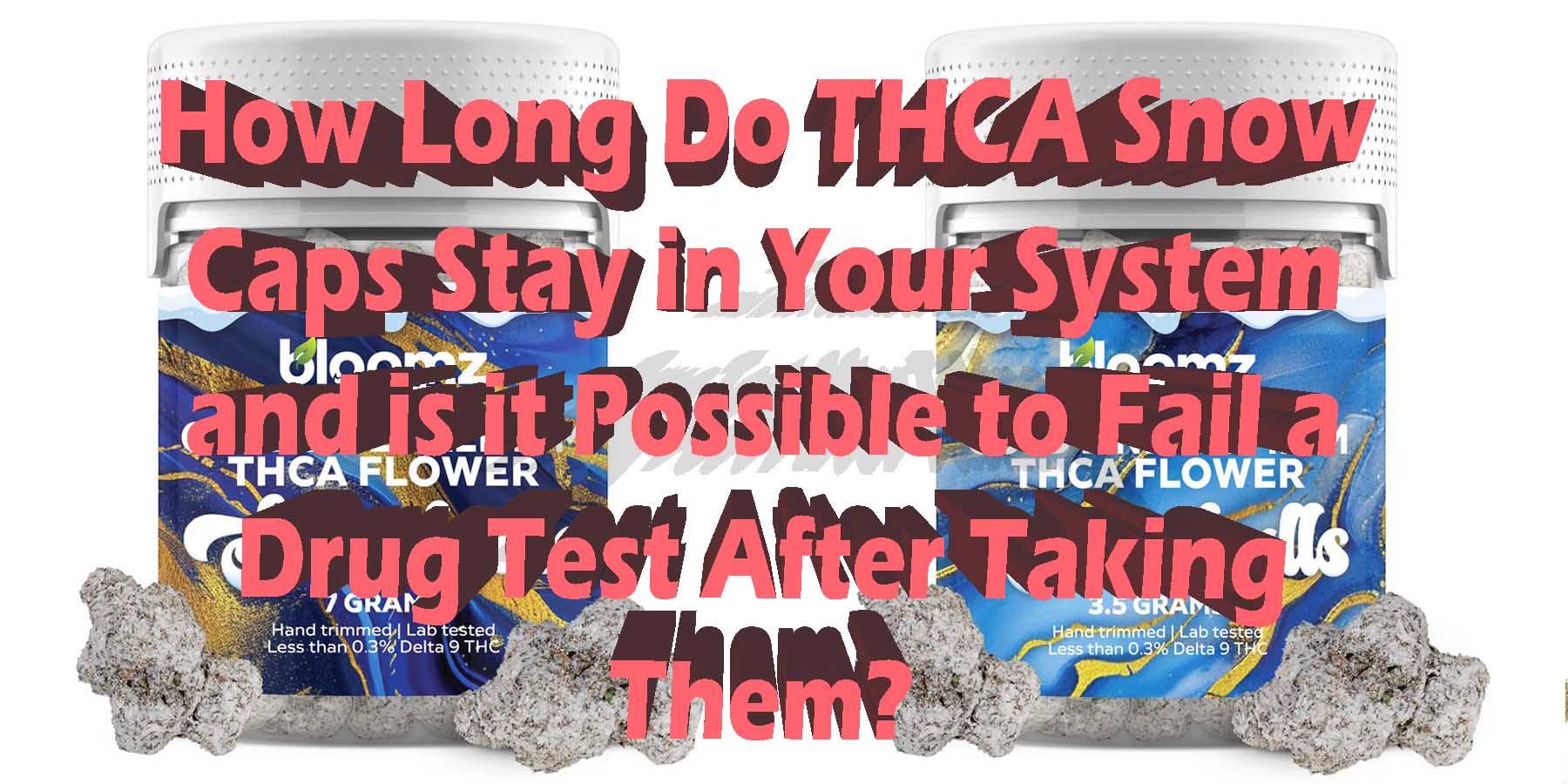 How Long Do THCA Snow Caps Stay in Your System and is it Possible to Fail a Drug Test After Taking Them Discount For Smoking Bloomz