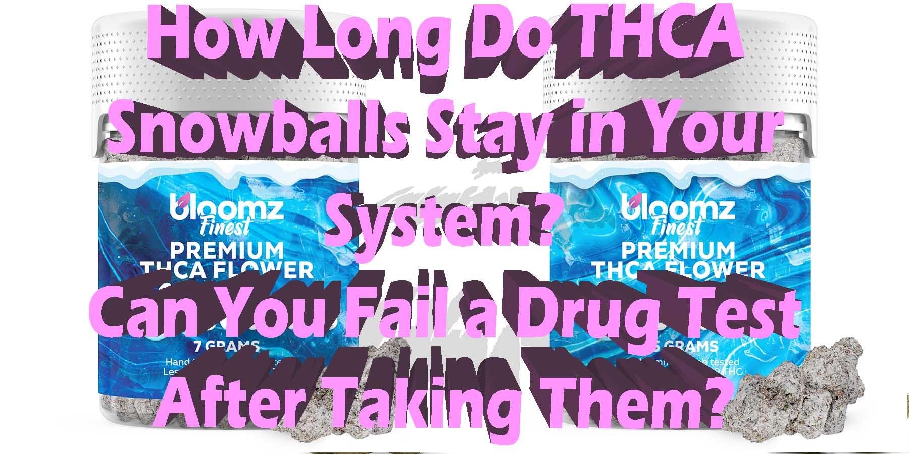 How Long Do THCA Snowballs Stay in Your System LowestPrice Coupon Discount For Smoking Best High Smoke Shop Online Near Me Online Smoke Shop StrongestBrand Best Bloomz