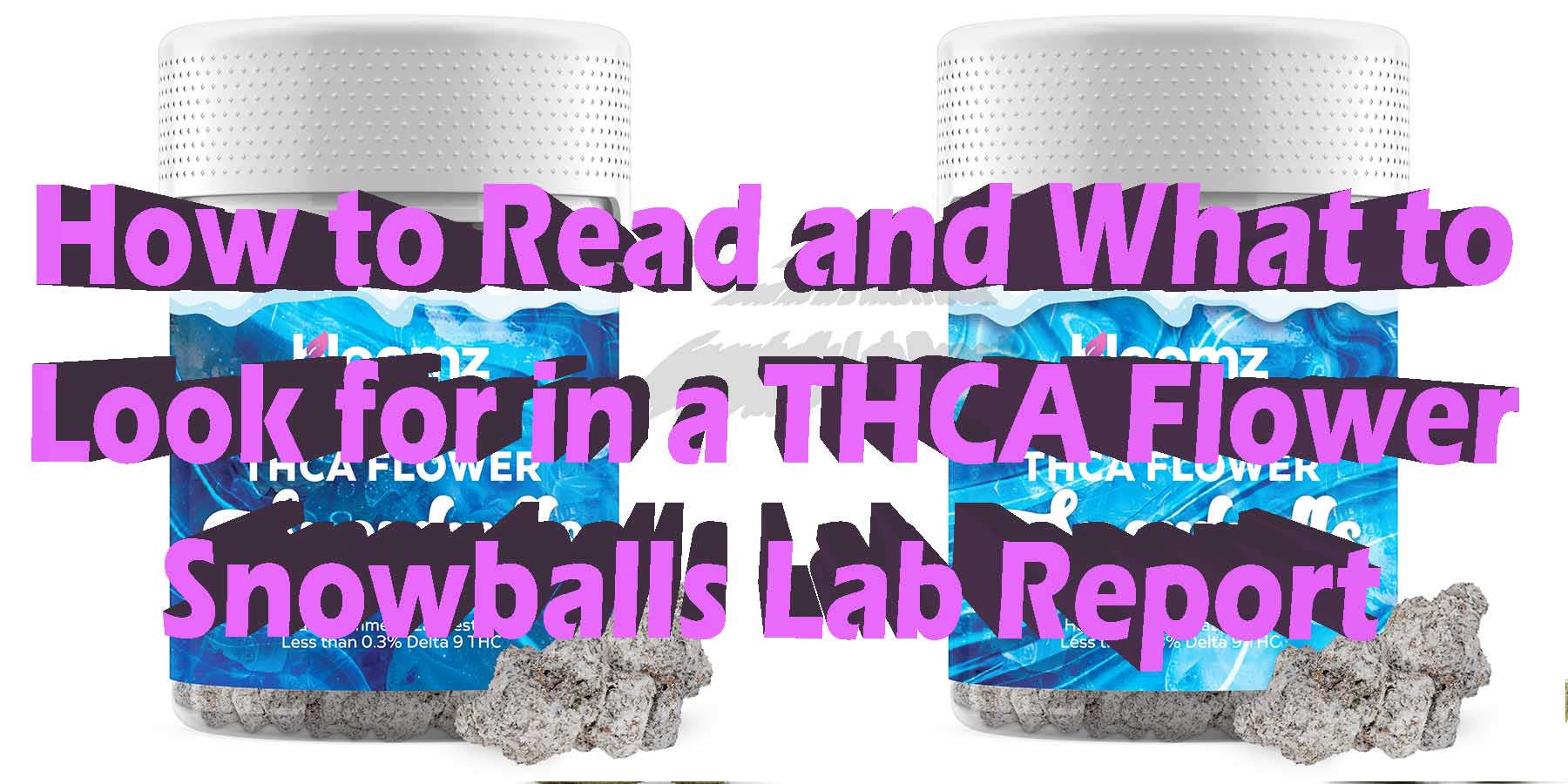 How to Read and What to Look for in a THCA Flower Snowballs Lab Report Coupon Discount For Smoking Best High Smoke Shop Online Where To Buy How To Buy Online Bloomz