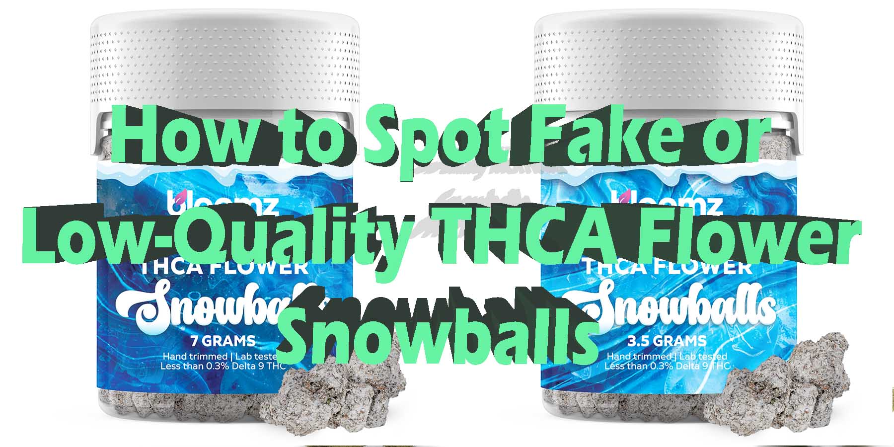 How to Spot Fake or Low Quality THCA Flower Snowballs LowestPrice Coupon Discount For Smoking Best High Smoke Shop Online Where To Buy How To Buy Online Smoke Shop THC Bloomz