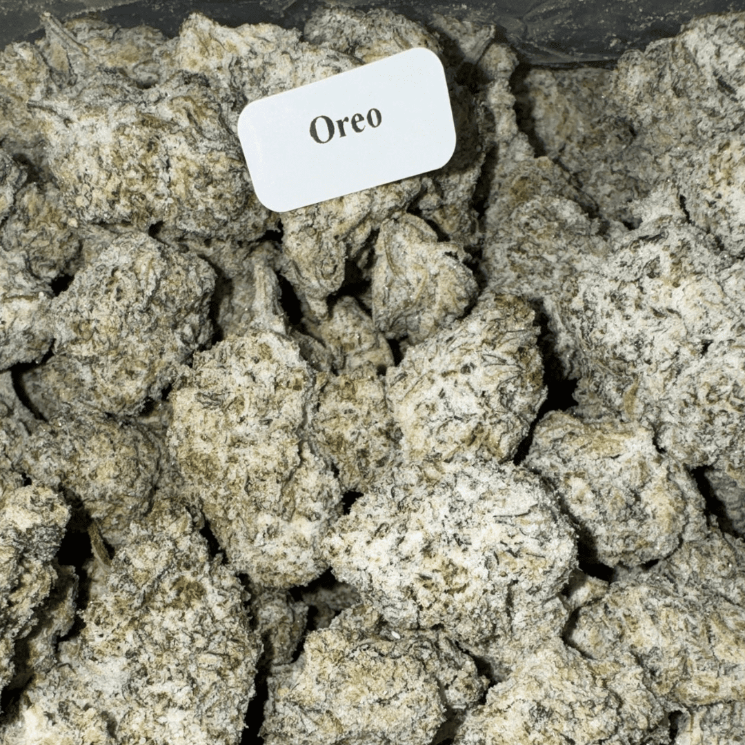 Blazed Strongest Exotic THCA Snow Caps – 7g, Flavor: Oreo