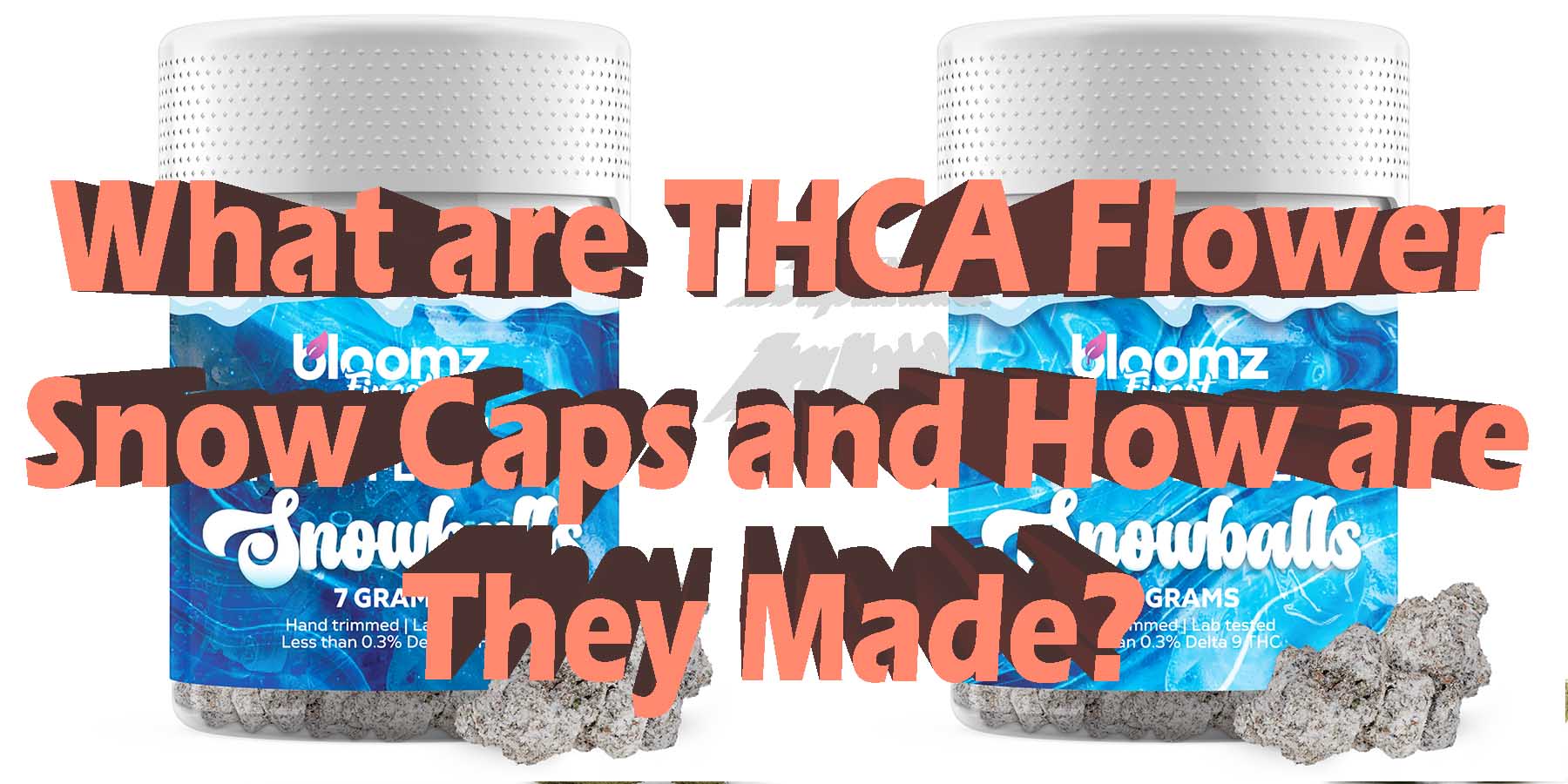 What are THCA Flower Snow Caps and How are They Made Coupon Discount For Smoking Best High Smoke THCA THC Cannabinoids Shop Online Near Me Bloomz
