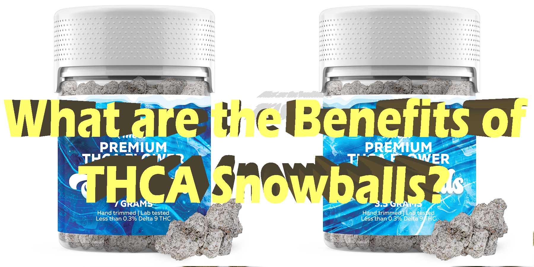 What are the Benefits of THCA Snowballs LowestPrice Coupon Discount For Smoking Best High Smoke Shop Online Near Me Online Smoke Shop StrongestBrand Best Smoke Bloomz