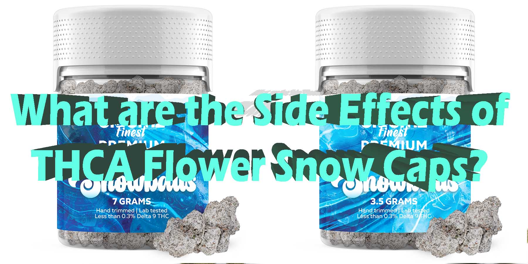 What are the Side Effects of THCA Flower Snow Caps Better LowestPrice Coupon Discount For Smoking Best High Smoke THCA THC Cannabinoids Shop Online Near Me Bloomz