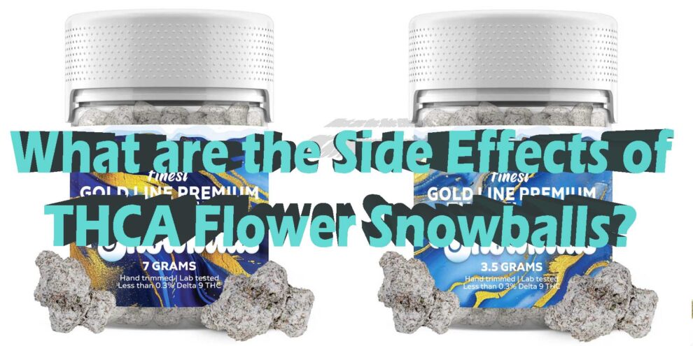 5 Severe THCA Snowballs Side Effects You Must Know