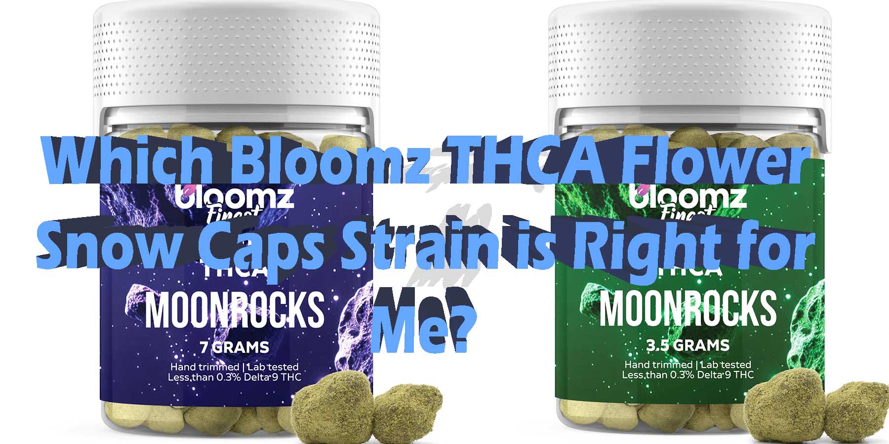 Which Bloomz THCA Flower Snow Caps Strain is Right for Me Coupon Discount For Smoking Best High Smoke THCA THC Cannabinoids Shop Online Near Me Bloomz