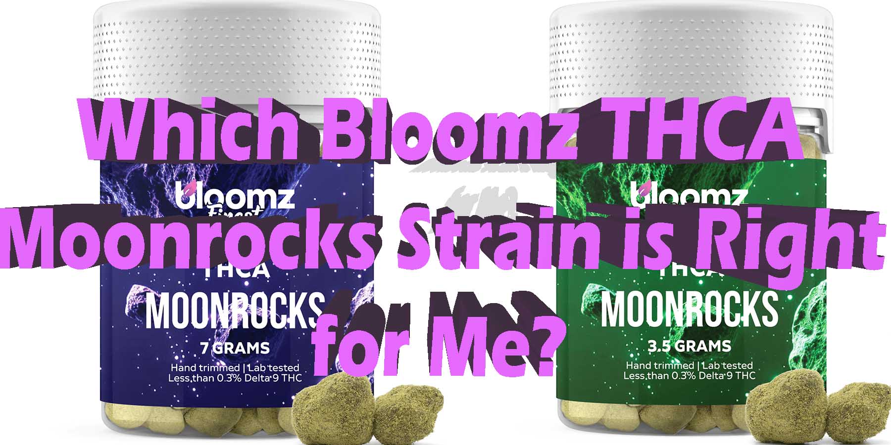 Which Bloomz THCA Moonrocks Strain is Right for Me LowestPrice Coupon Discount For Smoking Best High Smoke Shop Online Near Me Bloomz