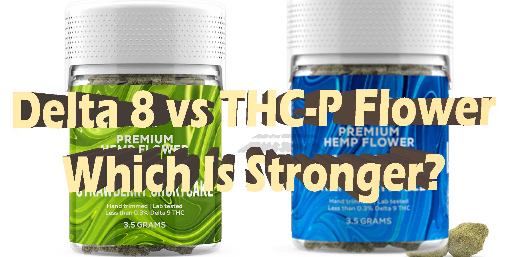 Delta 8 Flower vs THC P Flower Which Is Stronger HowToGetNearMe BestPlace LowestPrice Coupon Discount For Smoking Best Brand D9 D8 THCA Indoor Good Binoid.