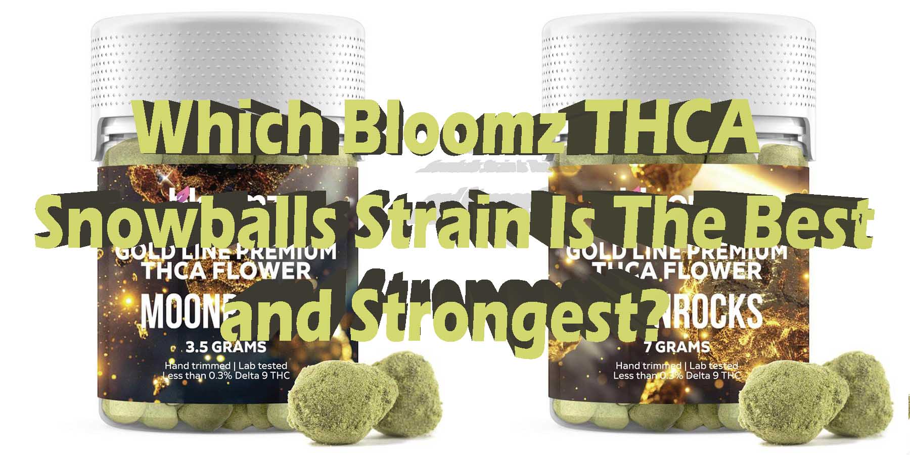 Which Bloomz THCA Snowballs Strain Is The Best and Strongest HowToGetNearMe BestPlace LowestPrice Coupon Discount For Smoking Best Brand D9 D8 THCA Indoor Good Binod