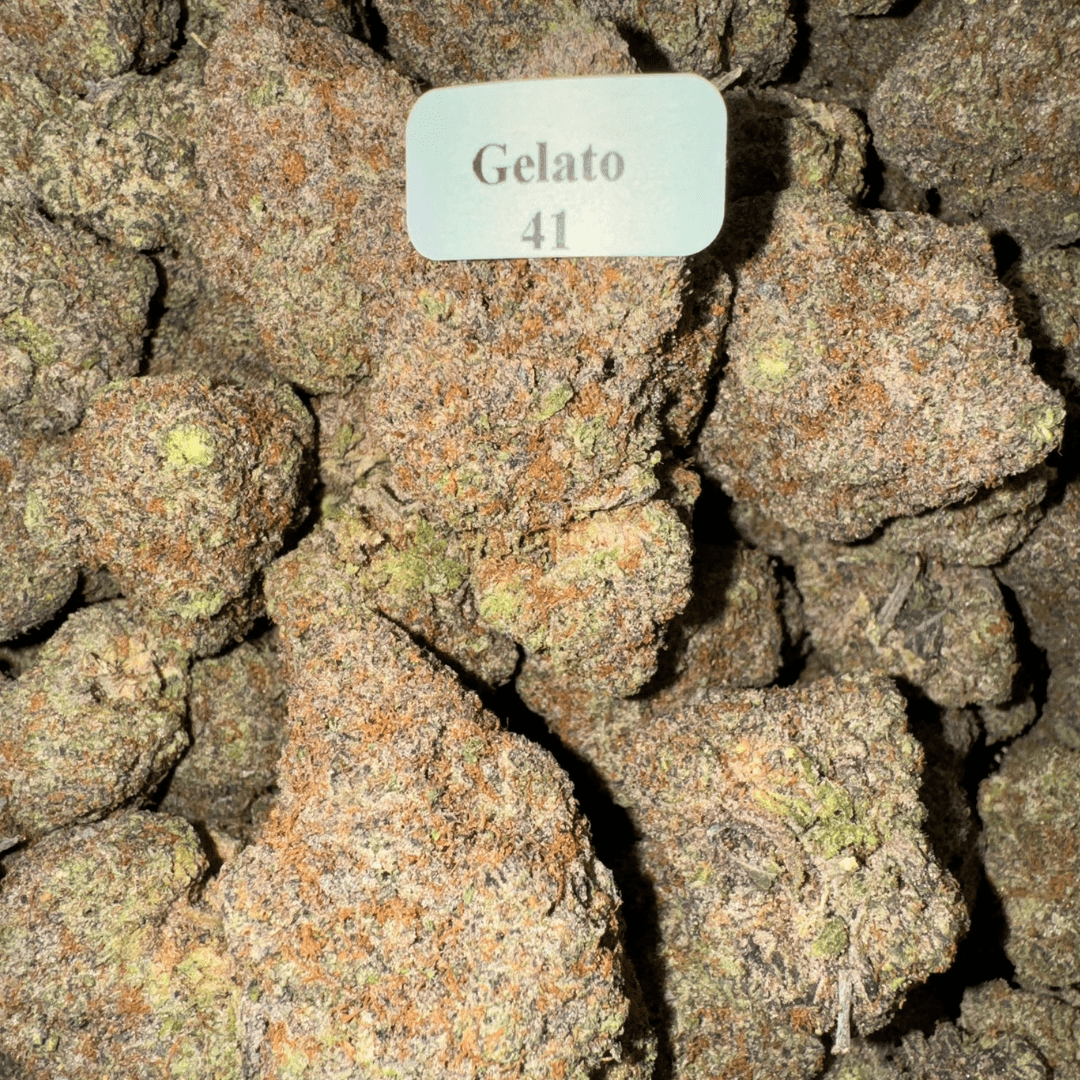 THCA Flower – Exotics – Gold Line – 28g, Flavor: Gelato 41