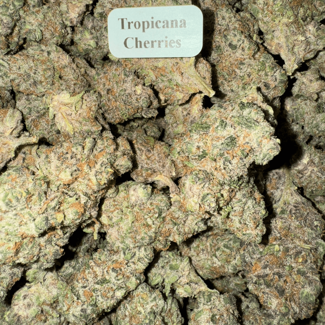 Exotic THCA Smalls – Tropicana Cherries, Weight: 28g