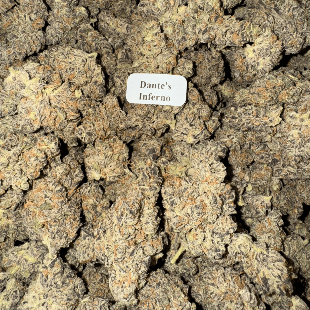 Dante's Inferno — Bloomz Hemp