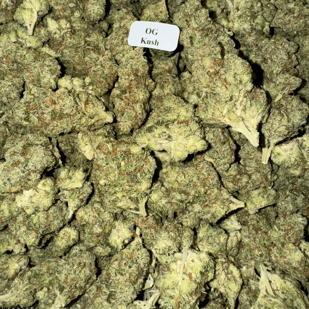 THCA Flower – Exotics – Gold Line – 3.5g, Flavor: OG Kush