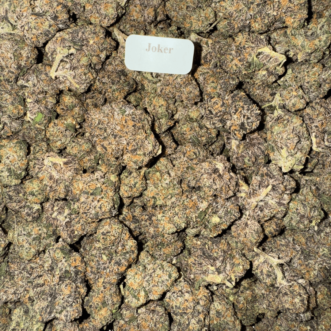 THCA Flower – Exotics – Gold Line – 28g, Flavor: Joker