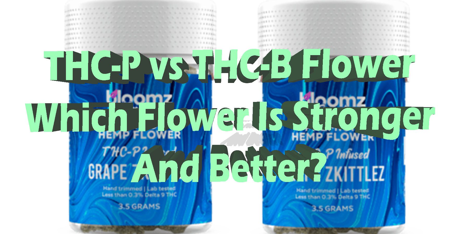 THC P vs THC B Flower HowToGetNearMe BestPlace LowestPrice Discount For Smoking Best Brand D9 D8 Bloomz