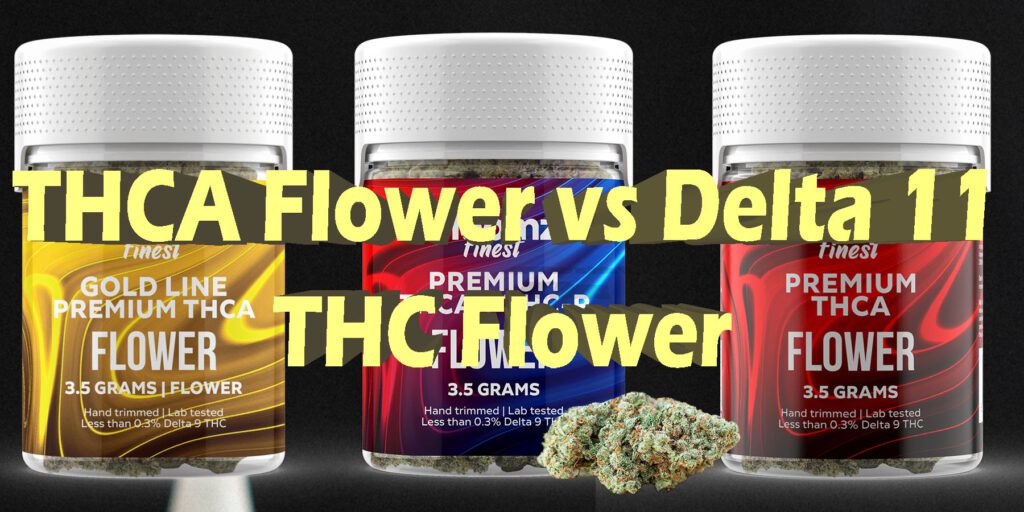 Is Thca Better Than Delta 9 THCA vs Delta 11: Which Flower Is Better?