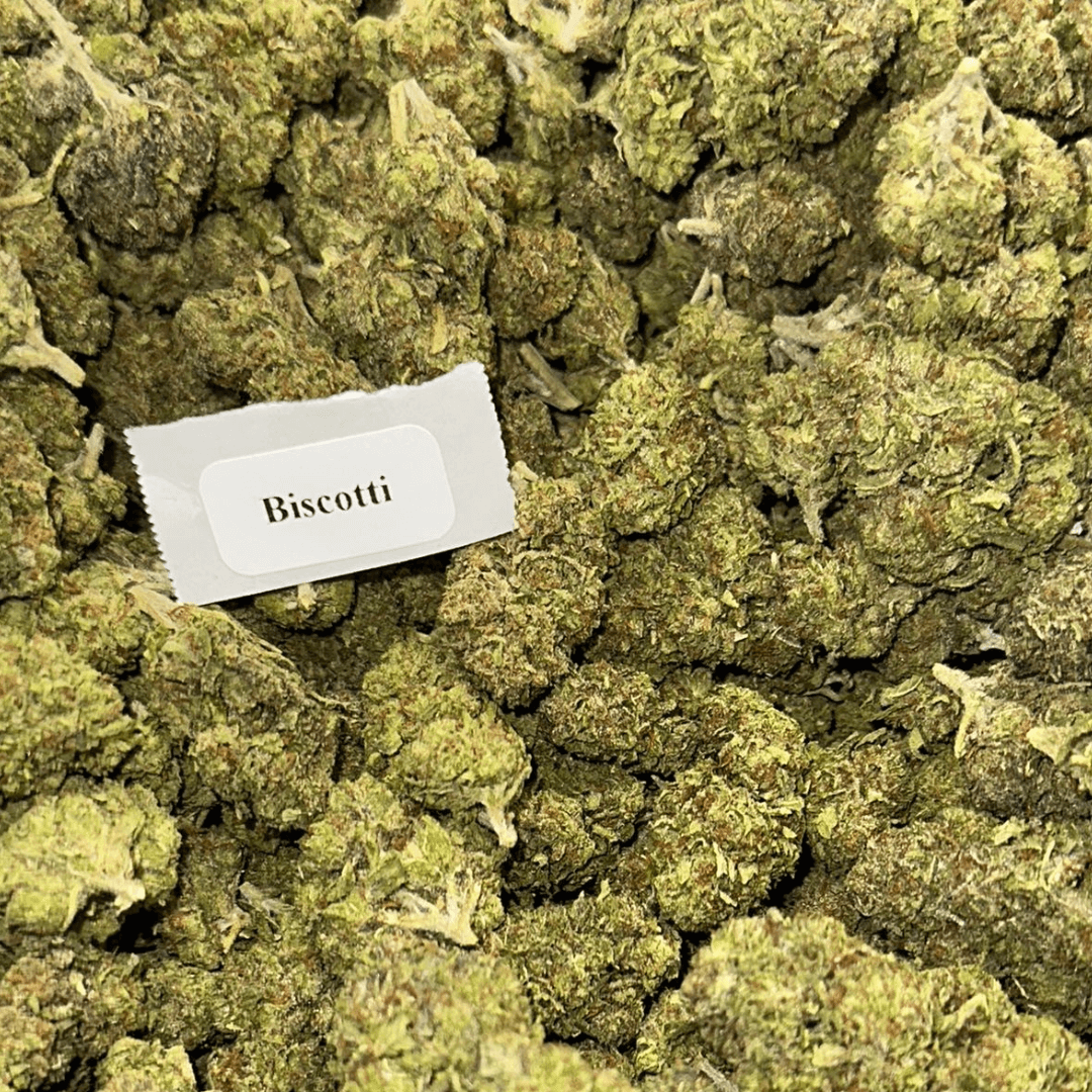 THCA Flower – 28g, Flavor: Biscotti