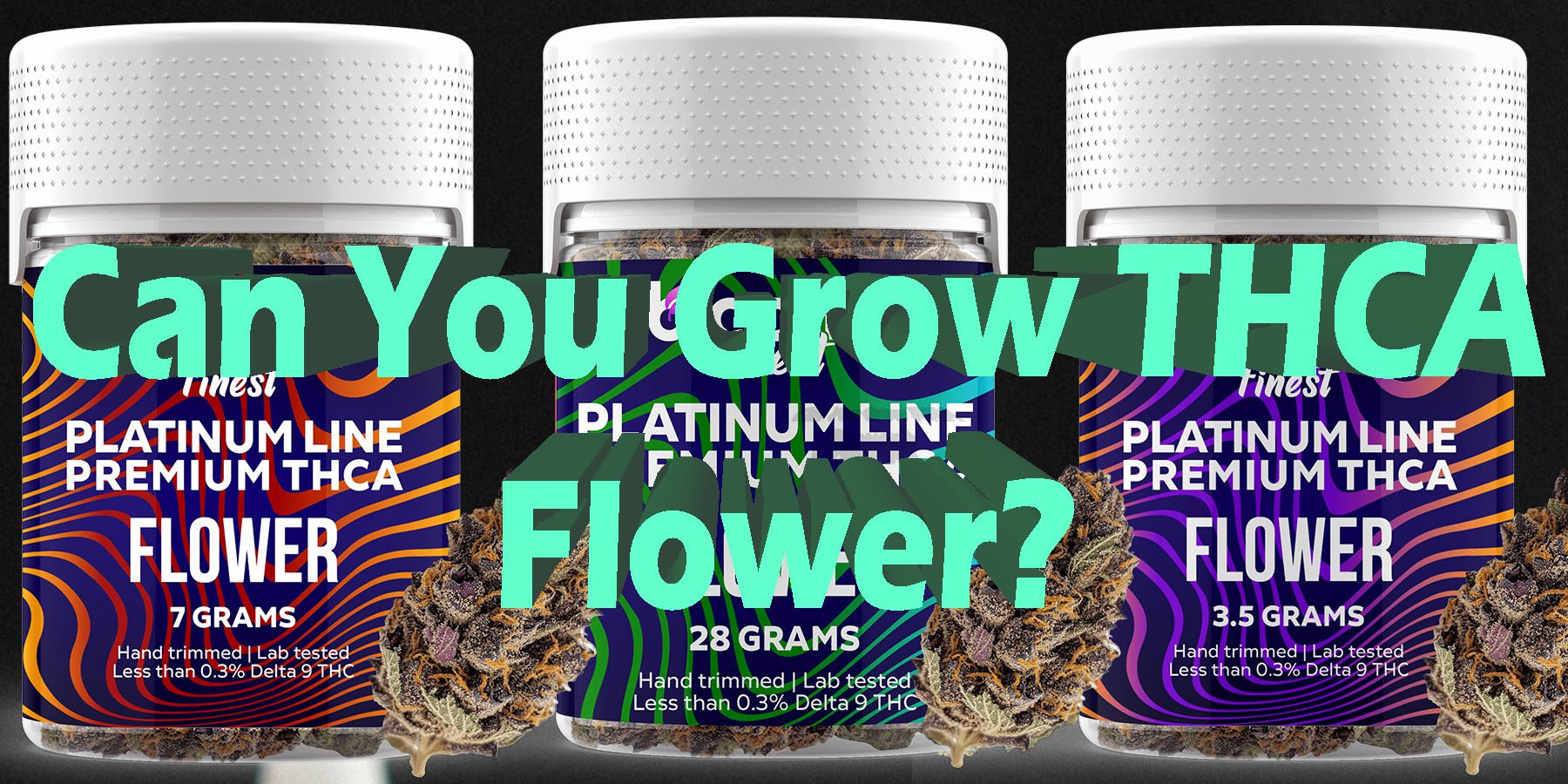 Can You Grow THCA Flower HowToGetNearMe BestPlace LowestPrice Coupon Discount For Smoking Best Brand D9 D8 THCA Indoor