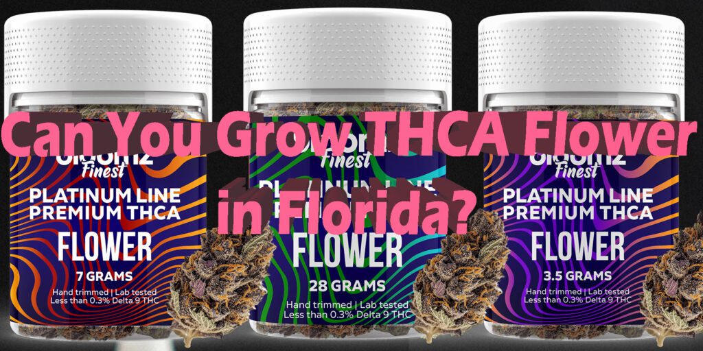 Can You Buy Thca In Florida Can You Grow THCA Flower in Florida?