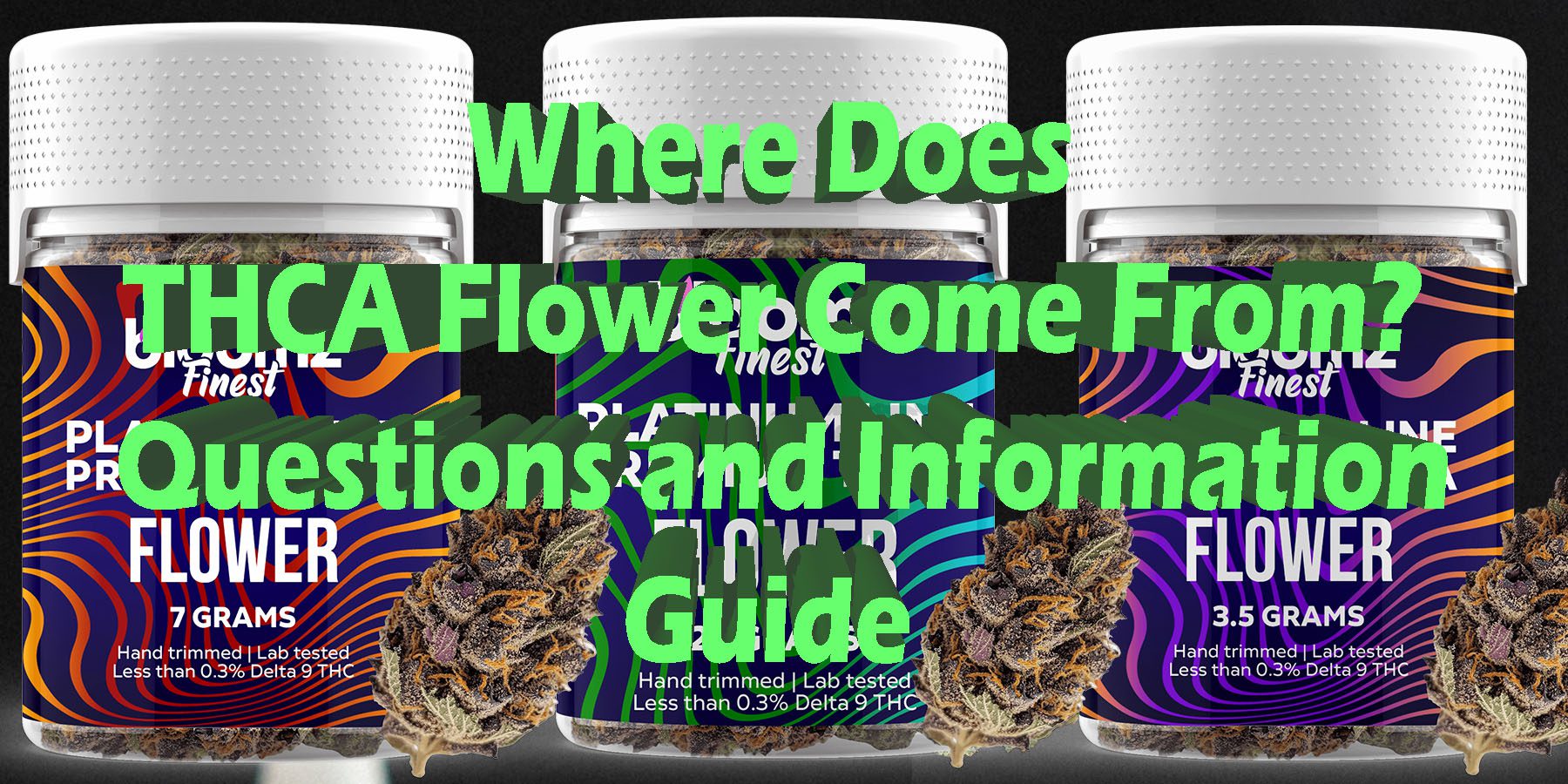 Where Does THCA Flower Come From Questions and Information Guide HowToGetNearMe BestPlace LowestPrice Coupon Discount For Smoking Best Brand D9 D8 THCA Indoor