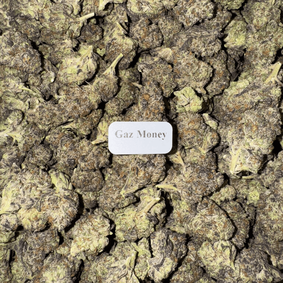 Gold Line — Bloomz Hemp