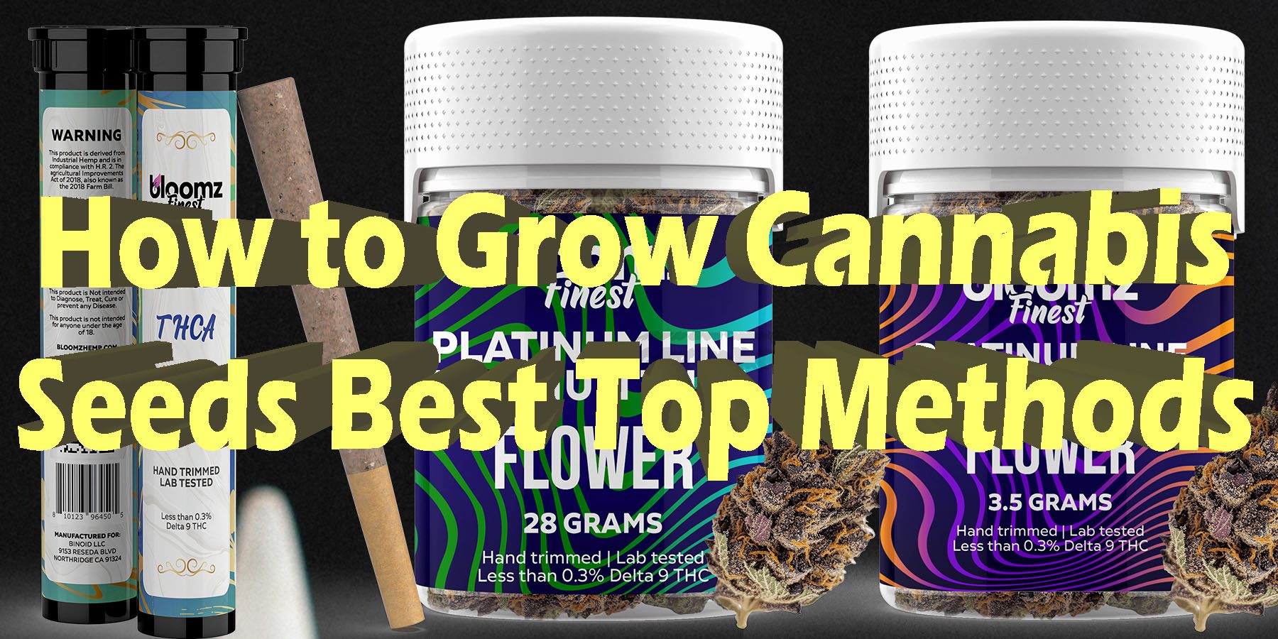 How to Grow Cannabis Seeds Best Top Methods HowToGetNearMe BestPlace LowestPrice Coupon Discount For Smoking Best Brand D9 D8 THCA Indoor Biniod.