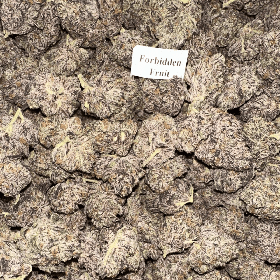 THCA Flower – Platinum Line – 28g, Flavor: Forbidden Fruit
