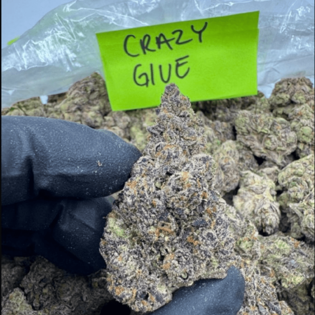 THCA Flower – Exotics – Gold Line – 7g, Flavor: Crazy Glue