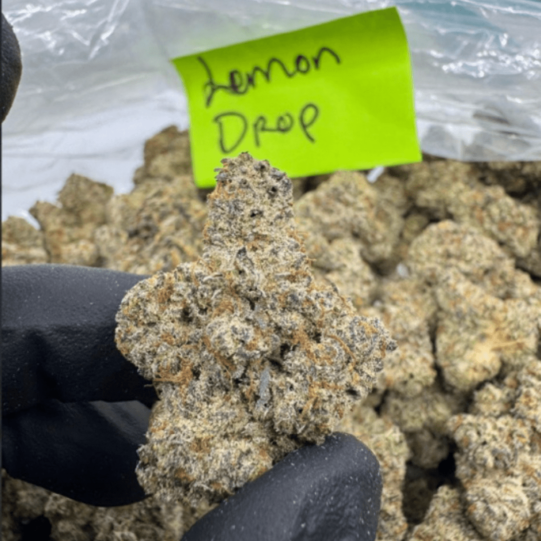 THCA Flower – Exotics – Gold Line – 3.5g, Flavor: Lemon Drop